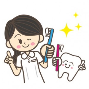 歯科衛生士と歯